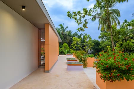 The Colour Burst House